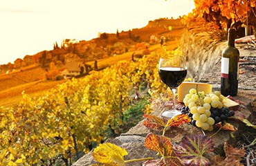 chianti-shore