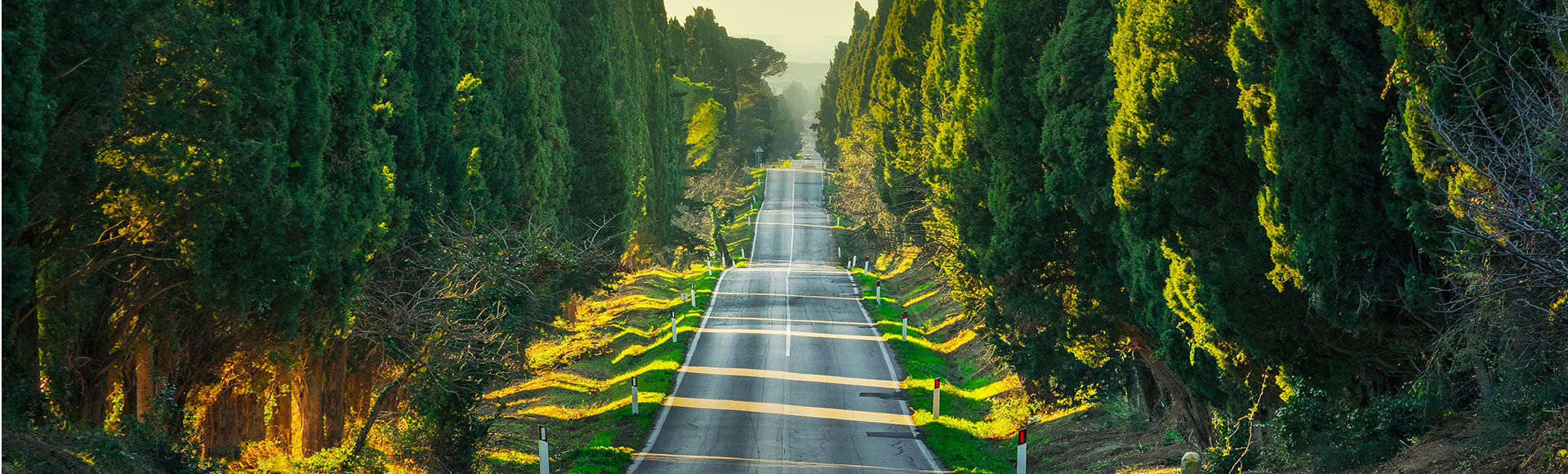 View-Bolgheri
