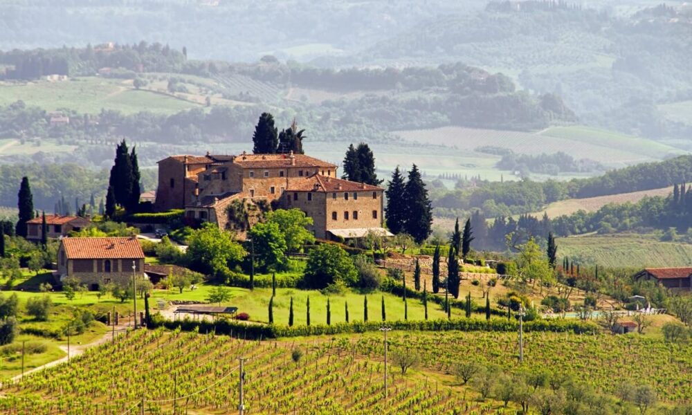 On the Vine of Wine